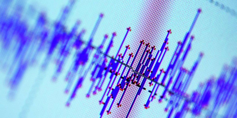 
                    Землетрясение магнитудой 4,5 зафиксировали алматинские сейсмологи
                