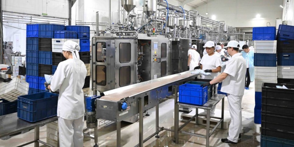 
                    Мясо, молоко и масло: в Казахстане увеличилось производство продуктов питания
                