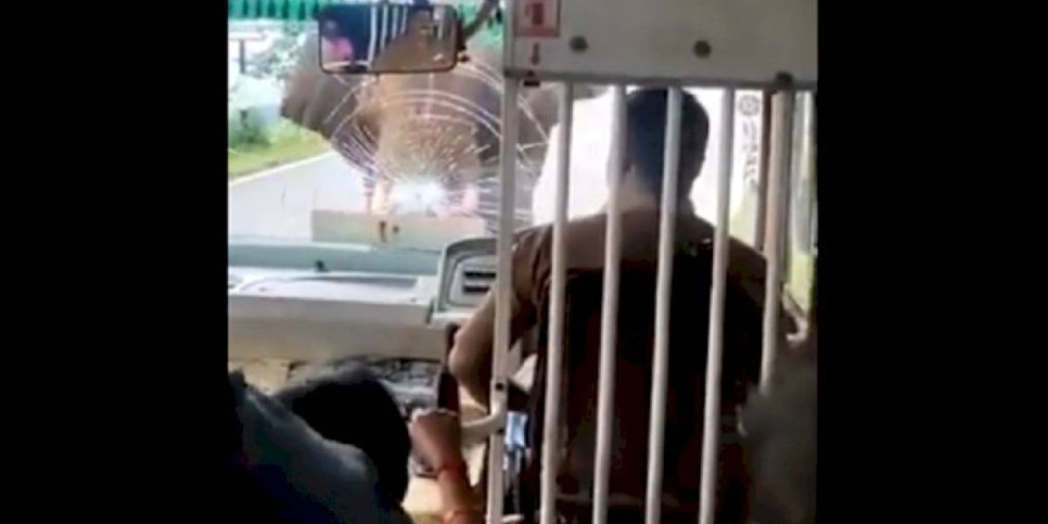 
                    Дикий слон напал на пассажирский автобус в Индии – видео
                