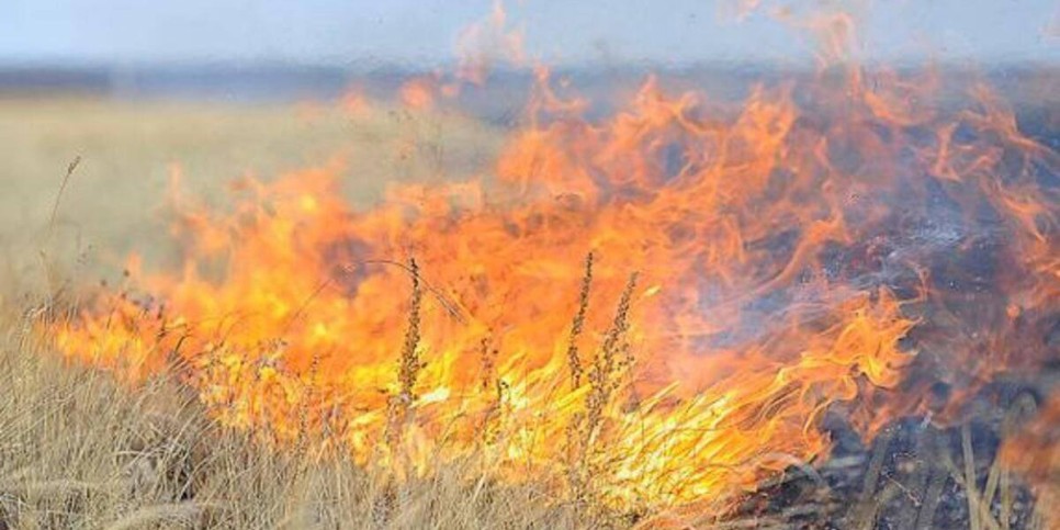 
                    Площадь пожара в горах Жамбылской области увеличилась
                