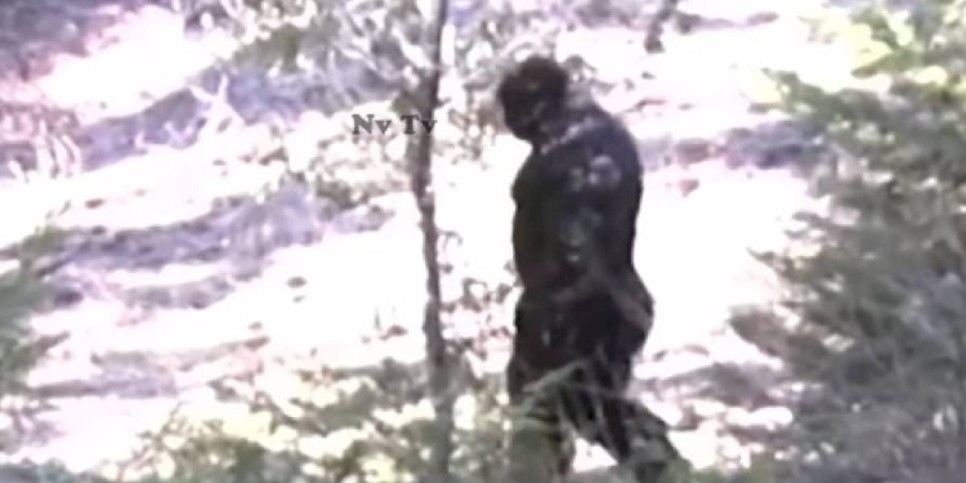 
                    Запечатленного на видео снежного человека активно обсуждают пользователи интернета
                