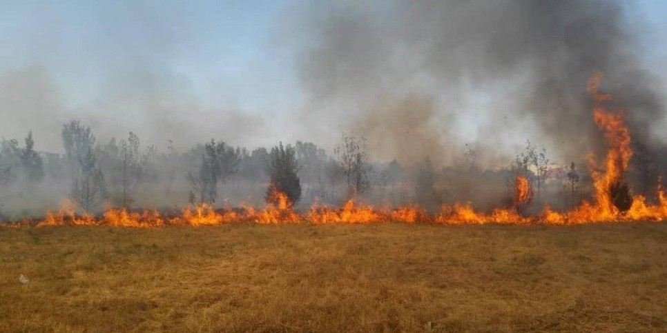 
                    Большая часть пожара в Карагандинской области потушена
                