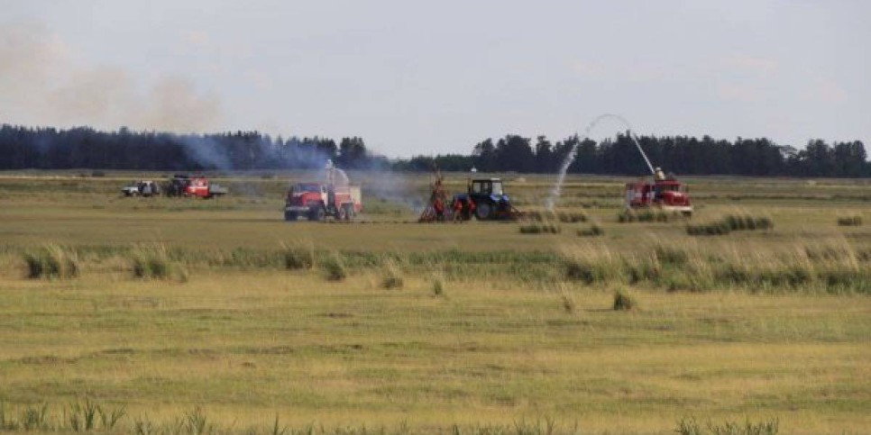 
                    Загорание в лесничестве «Ертіс-Орманы» Павлодарской области локализовано
                