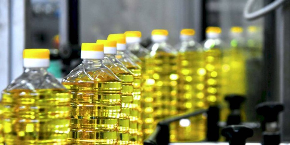 
                    В каком регионе Казахстана растительного масла произвели больше всего
                