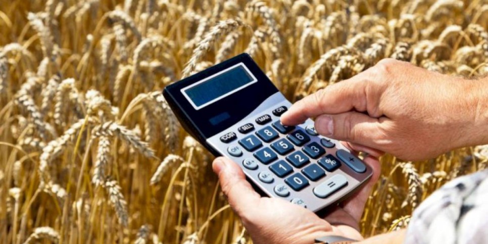 
                    На 0,4% снизились цены производителей сельхозпродукции в Казахстане
                