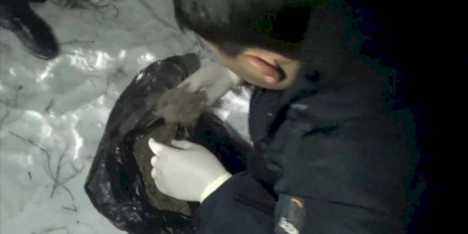 
                    Четыре килограмма марихуаны собрали в степи трое жителей Алматинской области
                