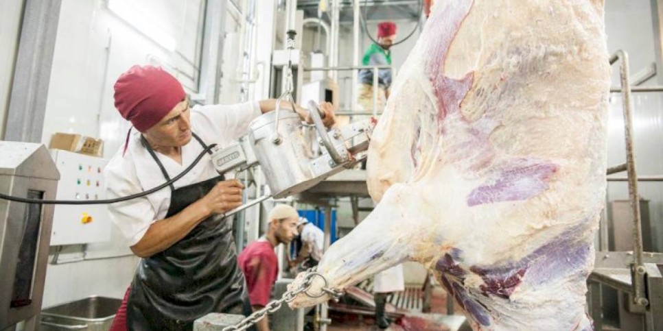 
                    Производство продуктов питания значительно выросло в Алматинской области
                
