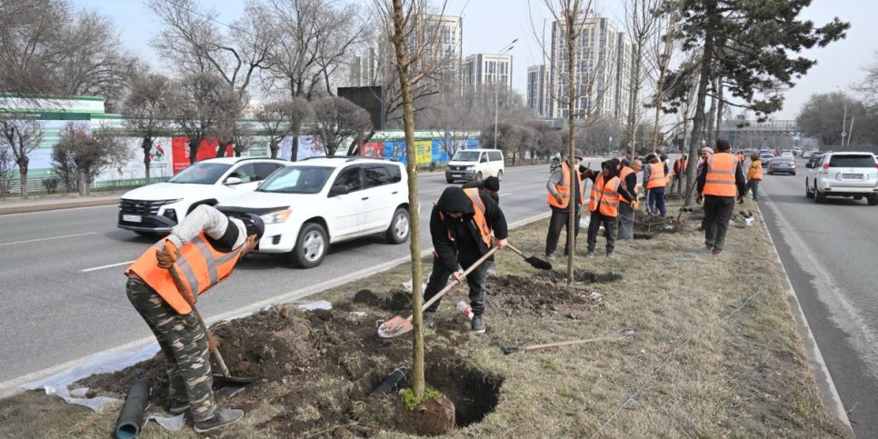 
                    Озеленение проспекта аль-Фараби: работы проходят по графику для минимизации транспортных заторов
                
