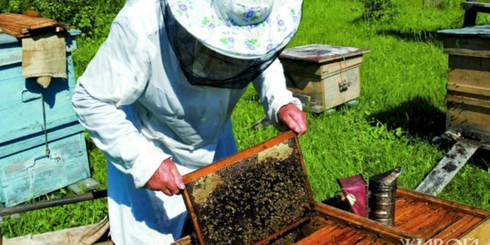 
                    Какую продукцию и в какие страны планируют поставлять казахстанские предприятия
                