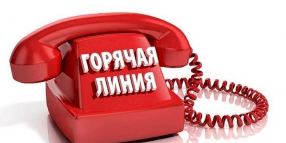 
                    На телефон «горячей линии» ОФ «Дорогу молодым» поступило 48 обращений
                