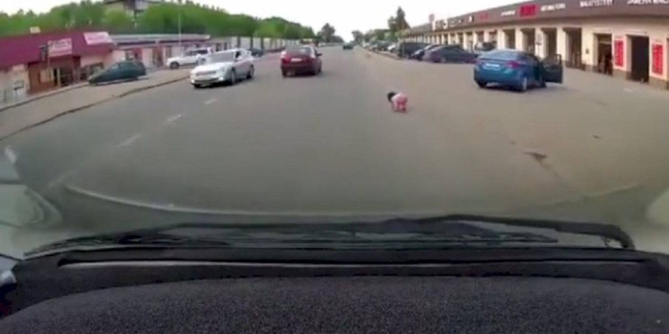 
                    Маленькая девочка выпала из движущегося авто в Алматинской области
                
