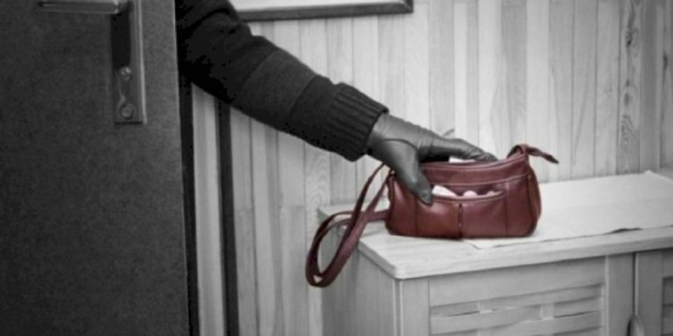 
                    Гастролеры-домушники из Темиртау обворовывали квартиры алматинцев
                