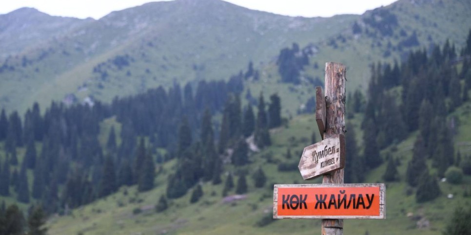 
                    «Зеленый коридор» предлагают ввести на пограничных пунктах Казахстана 
                