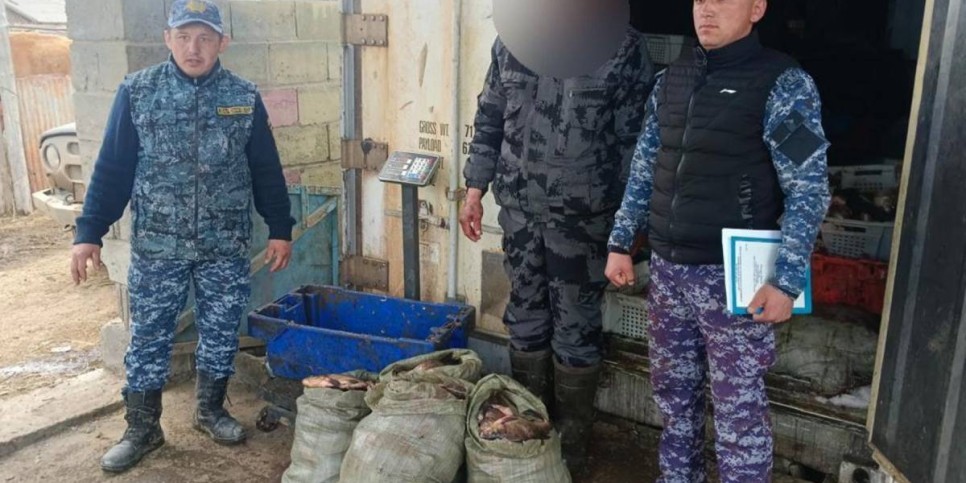 
                    В области Абай задержан нарушитель за незаконный лов рыбы
                