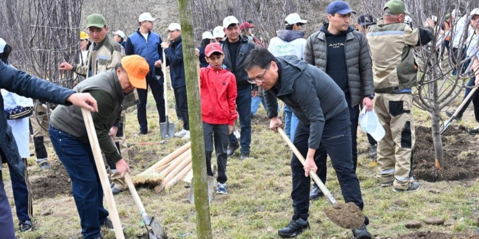 
                    Almaty clean & green: более 10 тыс. деревьев высадили алматинцы в дни Наурыза
                