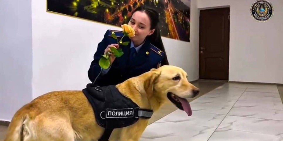 
                    Лабрадор Блонди подарил цветы женщинам-полицейским в Павлодаре
                
