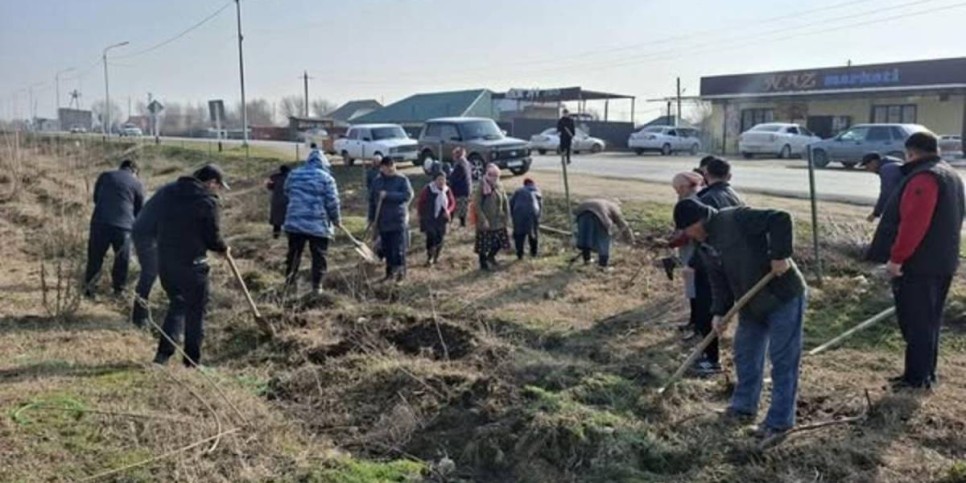 
                    13 тысяч деревьев посадили за один день в Туркестанской области
                