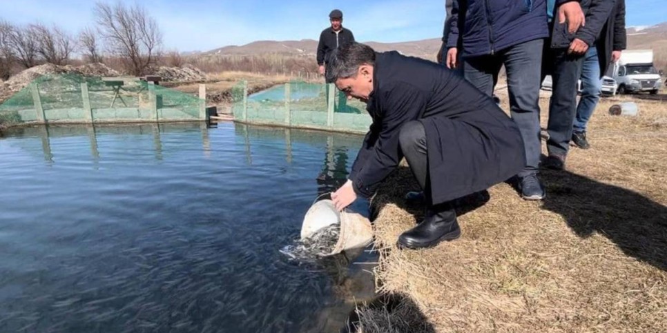 
                    50 тысяч мальков форели выпустили в искусственный водоем в Тюлькубасе
                