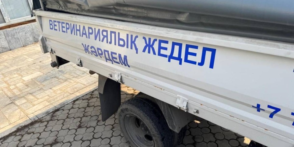 
                    В Алматы запущена скорая ветеринарная помощь для безнадзорных и бродячих животных
                