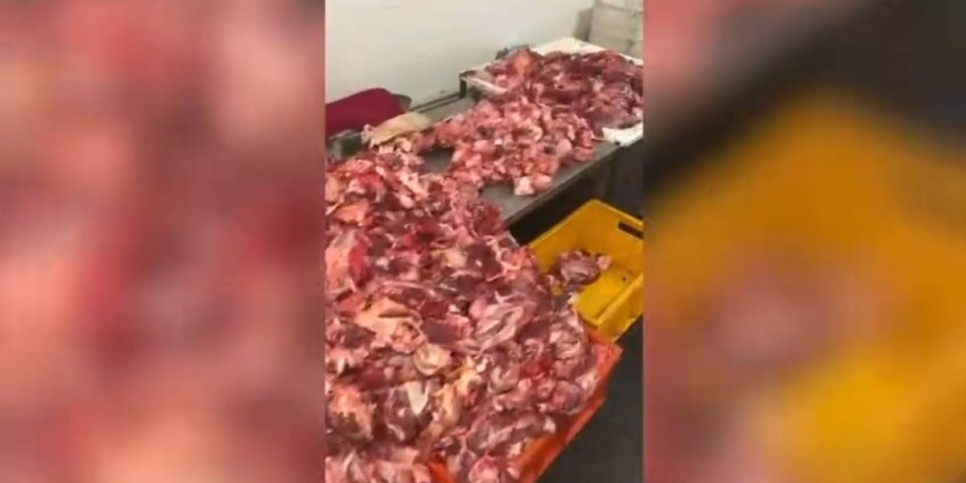 
                    В Астане изъятое мясо передано на корм животным в приют
                