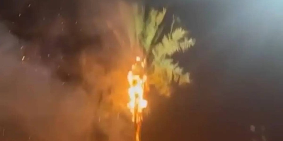 
                    Искусственная пальма загорелась в новогоднюю ночь в Актау
                