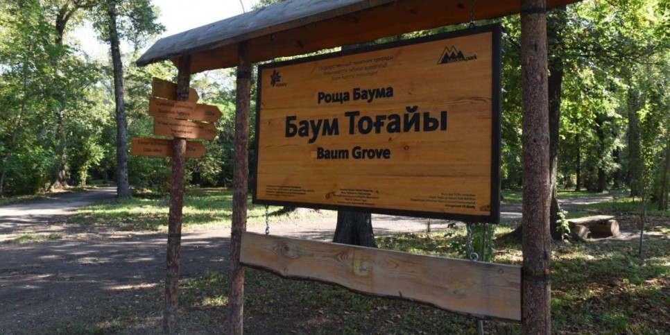 
                    В Алматы планируют благоустроить рощу Баума 
                