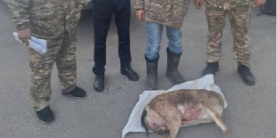 
                    Браконьер задержан в Алматинской области
                