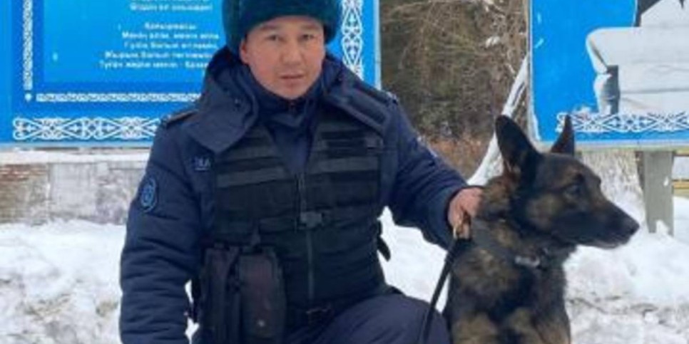 
                    Служебная собака обнаружила наркотики у жителя Петропавловска
                