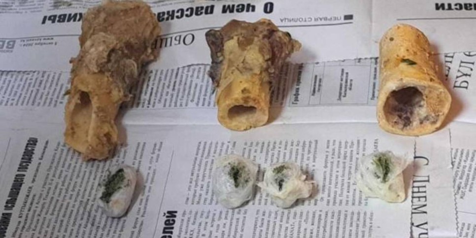 
                    Спрятанные в костный мозг наркотики хотели передать в колонию Кызылорды
                