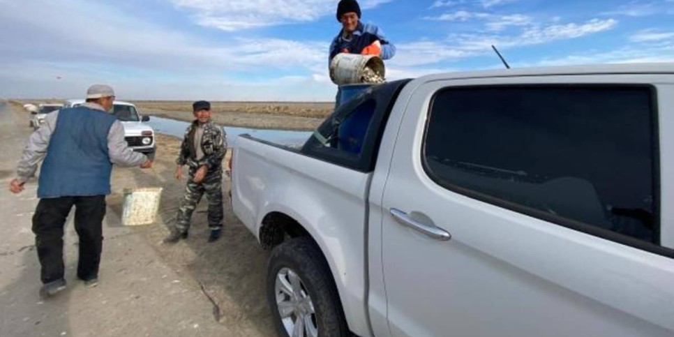 
                    Мальки спасены на отшнурованном водоеме
                