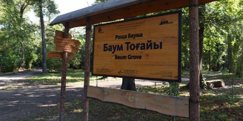 
                    В Алматы рощу Баума благоустроят в следующем году – Ерболат Досаев  
                