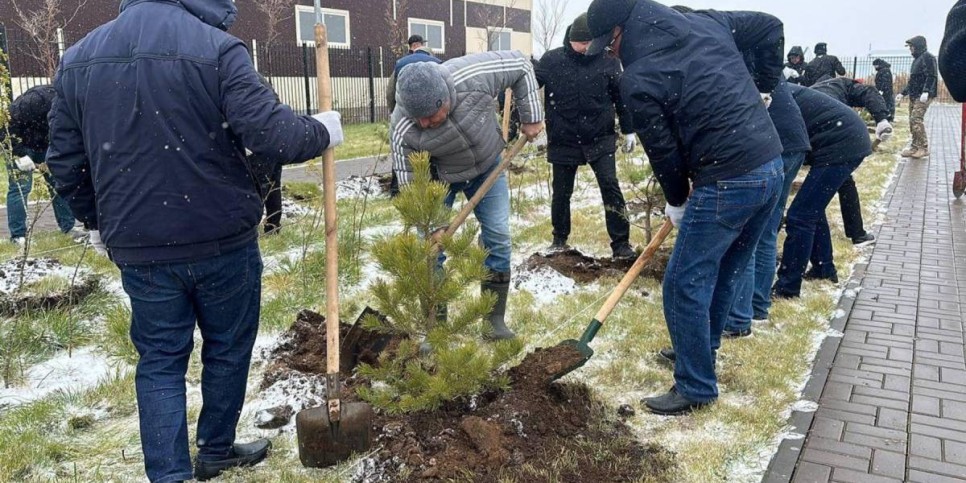 
                    Посадкой хвойных деревьев в первый снег занялись спасатели в Астане 
                