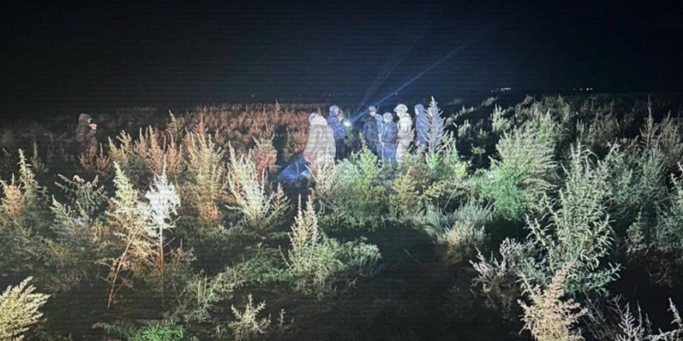 
                    Большую партию конопли изъяли полицейские при ночном рейде в Жамбылской области
                