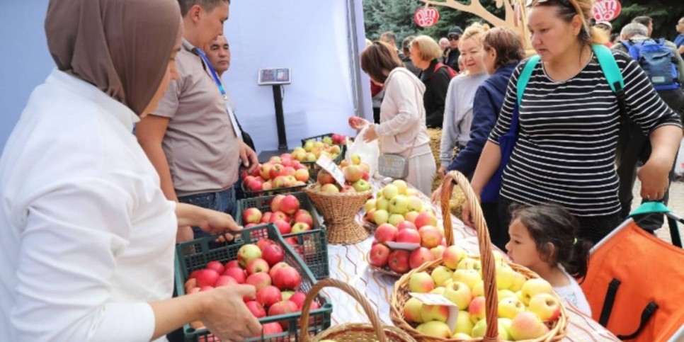 
                    Apple Fest-2024: Нiro и Captown, 130 тонн яблок, 1 700 литров яблочного компота и цирк Шапито
                
