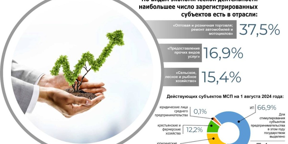 
                    В бизнесе предпринимателей мегаполиса преобладают торговля и ремонт автотехники
                