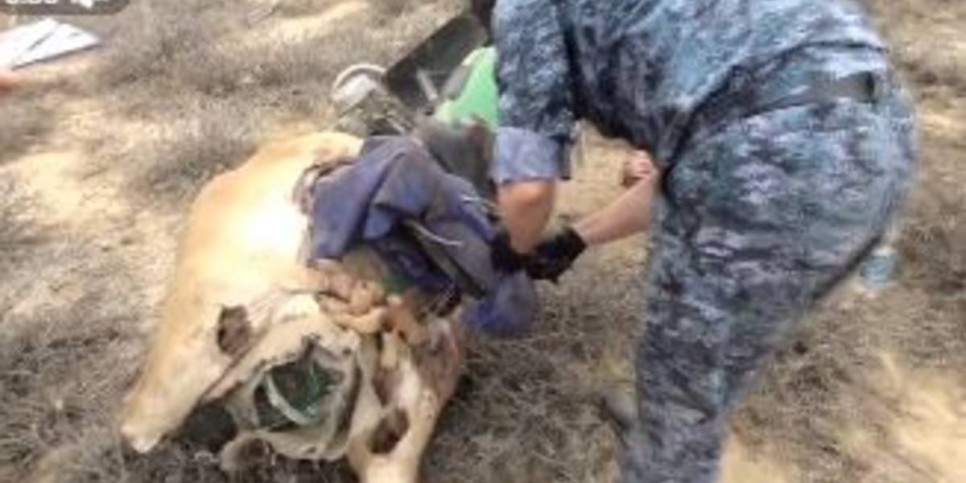 
                    Вооруженные браконьеры задержаны в области Улытау
                
