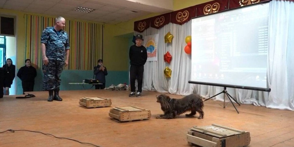 
                    Кинолога со служебной собакой направили в детский лагерь в СКО
                