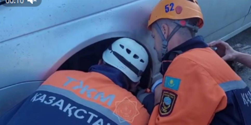 
                    Застрявшую под машиной собаку спасли в Усть-Каменогорске
                