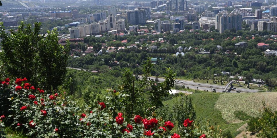 
                    До 31 градуса тепла: погода в мегаполисах Казахстана на три дня  
                