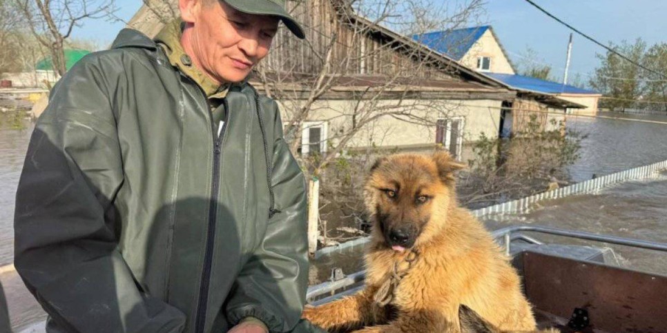 
                    Пострадавшим от паводков казахстанцам продлили сроки сдачи налогов
                