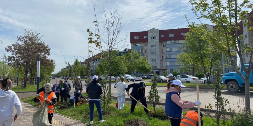 
                    «Таза Казахстан»: в Алматы знаменитости посадили деревья
                