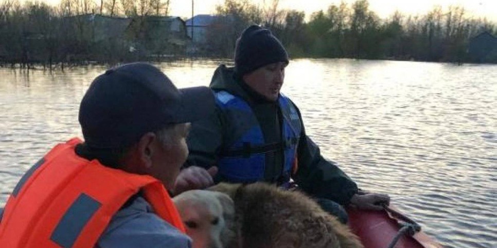 
                    В ЗКО проводят безопасный пропуск паводковых вод
                