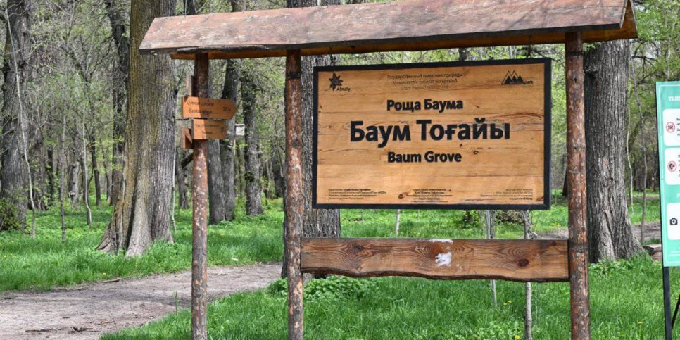 
                    В роще Баума прошел плоггинг в рамках кампании «Алматы - наш общий дом»
                