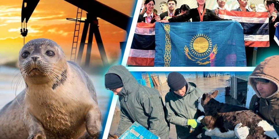
                    Речь Бишимбаева на суде, массовая гибель тюленей на Каспии, задержание 25 членов преступной группы – итоги дня
                