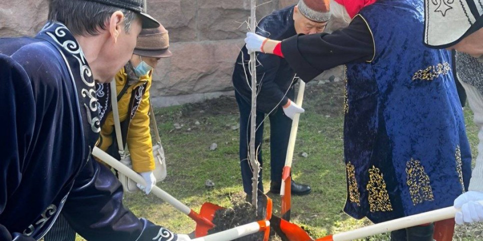 
                    Алматинские аксакалы посадили деревья возле Казахстанско-Британского университета
                