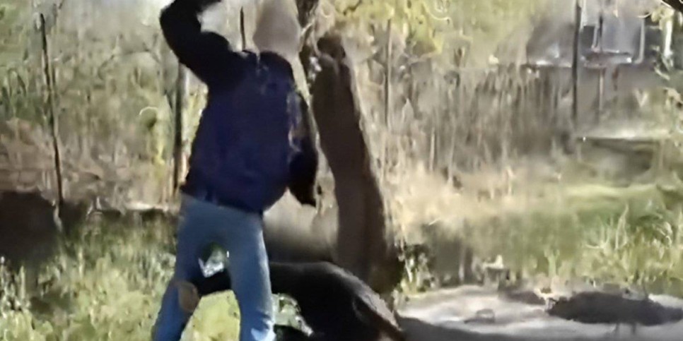 
                    Подростки избивают жителей Конаева на видео: в полиции прокомментировали инцидент
                