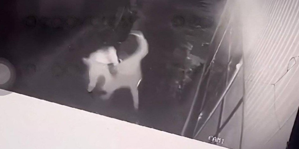 
                    Видео с поножовщиной в Туркестанской области прокомментировали в полиции
                