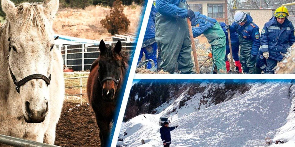 
                    Расследование оползня на контроле Досаева, масочный режим, миллиарды на развлечения, гибель лошадей – итоги дня
                