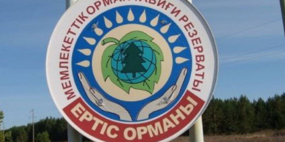 
                    Антикор задержал руководителя «Ертіс орманы»
                