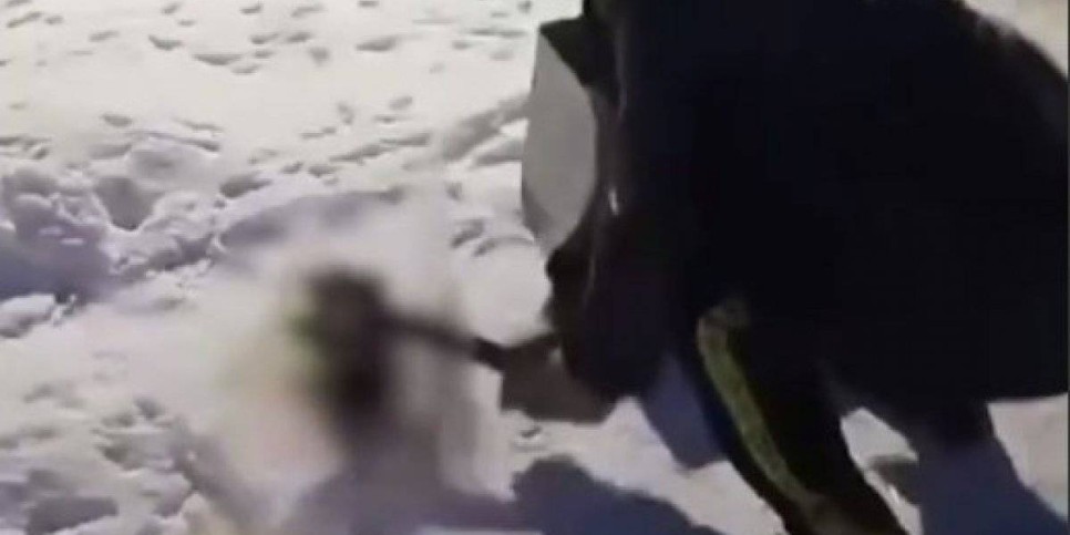 
                    Забил щенят топором: в Казнете появилось страшное видео из ВКО
                
